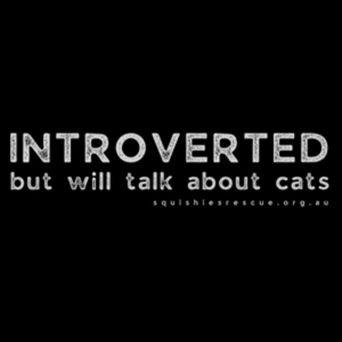 Introverted But Will Talk About Cats Thumbnail